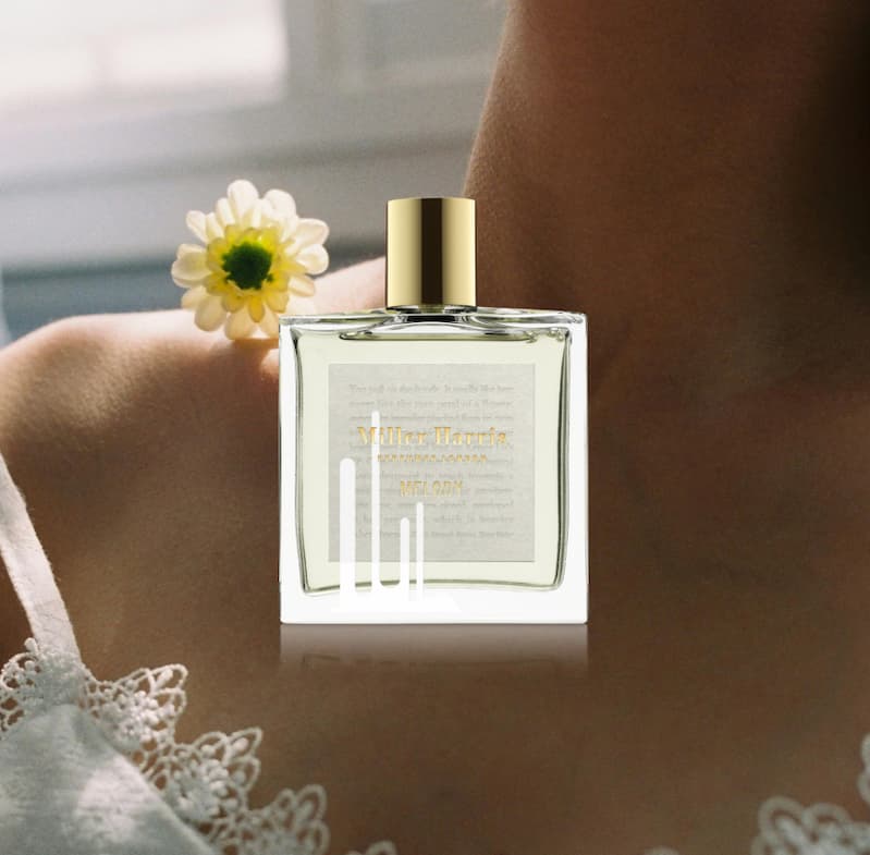 Fragrance Forecast