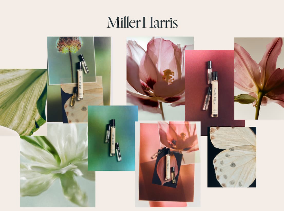 Layering Editions