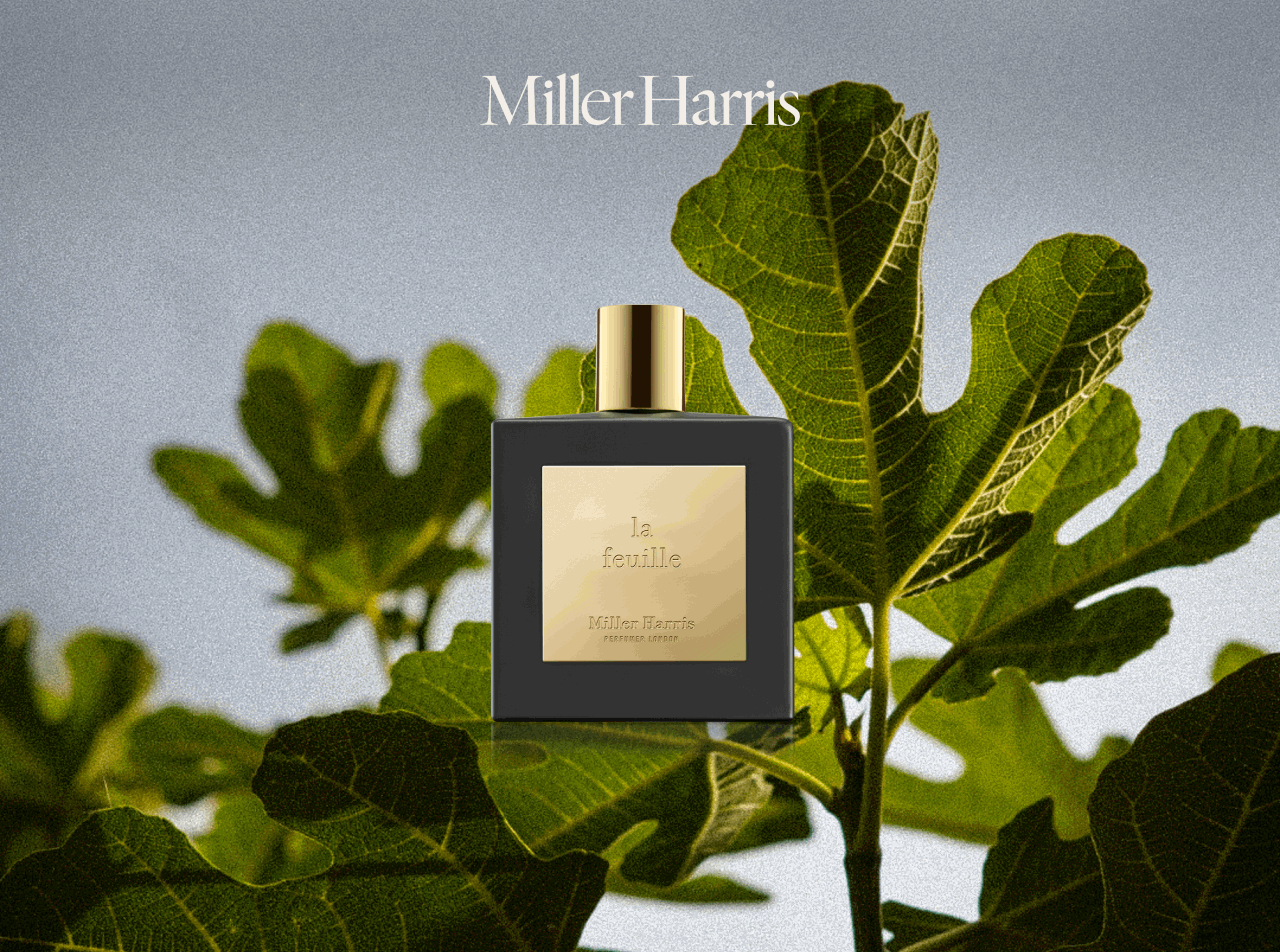 Fragrance Forecast