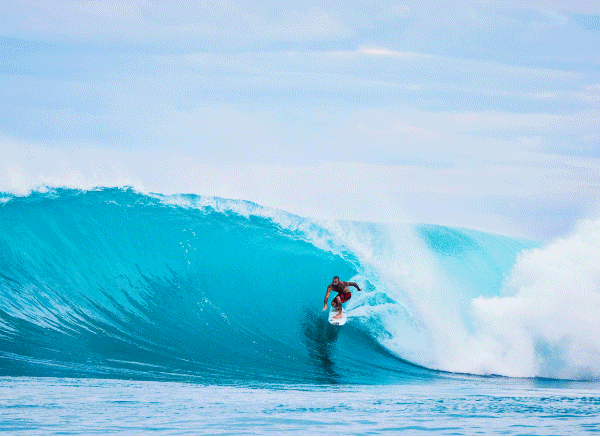 Surf Essentials