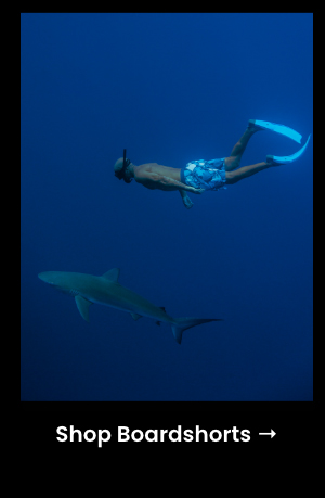 Shop Boardshorts