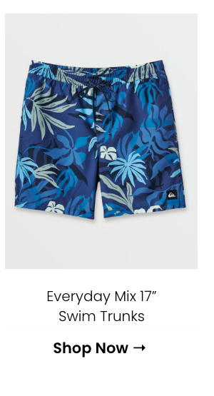 Everyday Mix 17" Swim Trunks