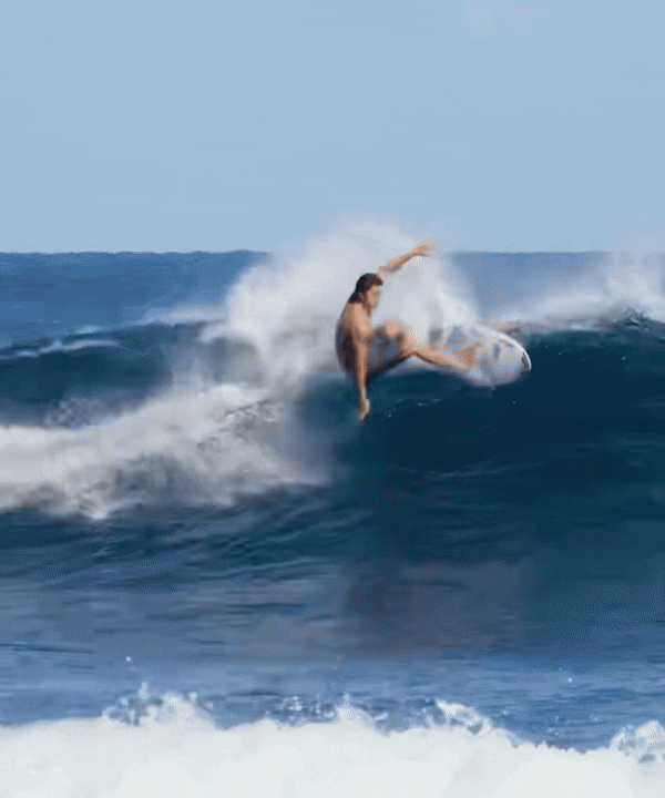 Everyday Boardshorts