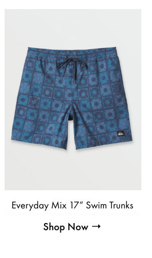 Everyday Mix 17" Swim Trunks
