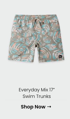 Everyday Mix 17" Swim Trunks
