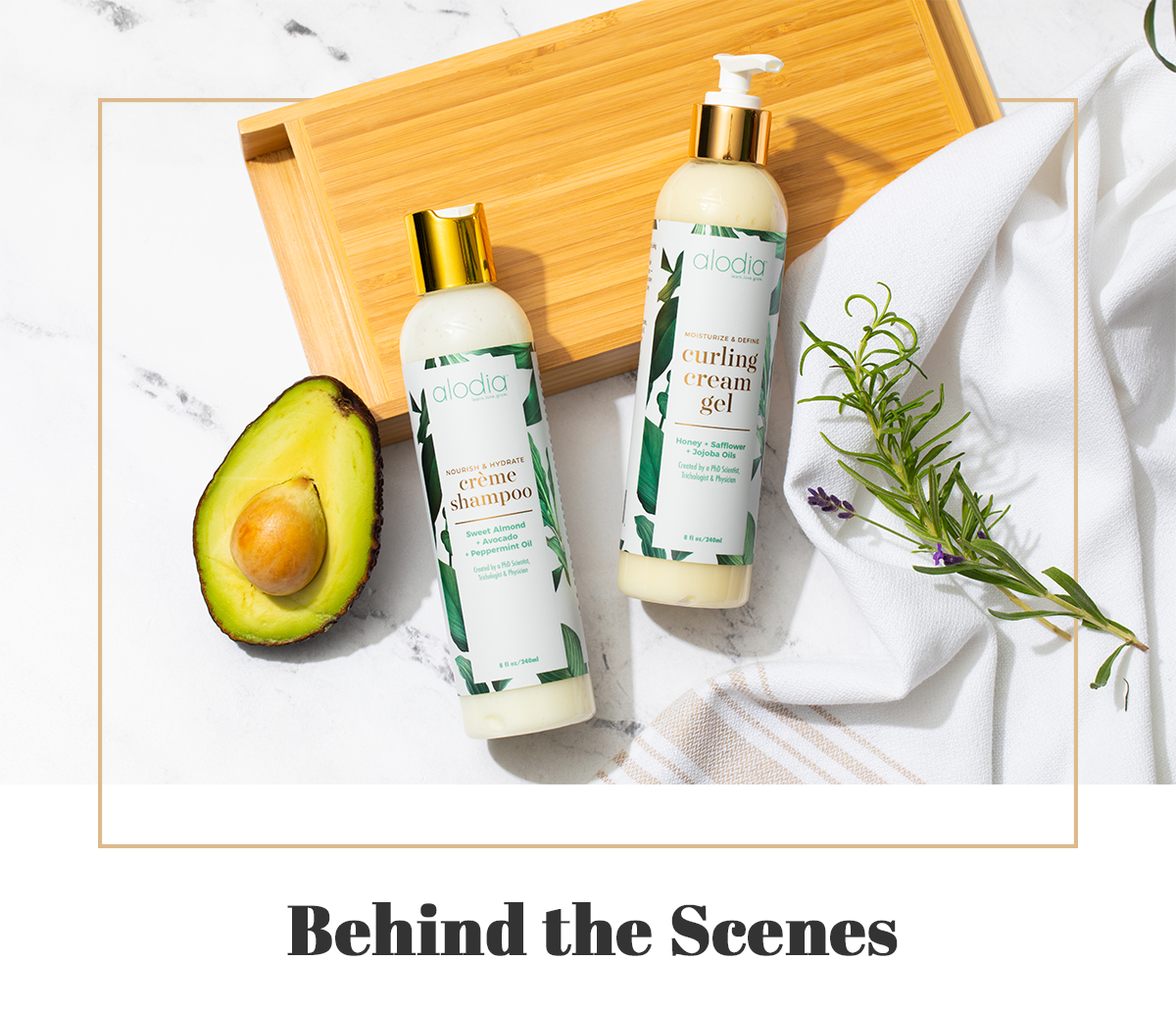 Alodia Hair Care