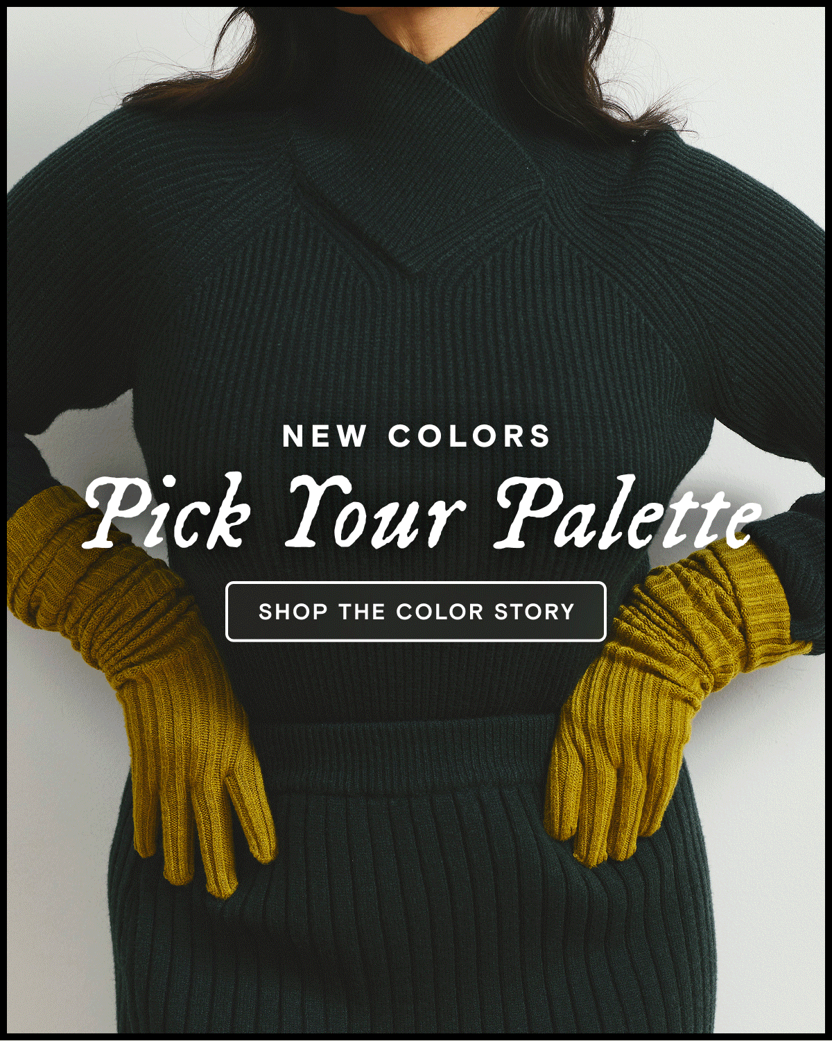 Shop New Colors