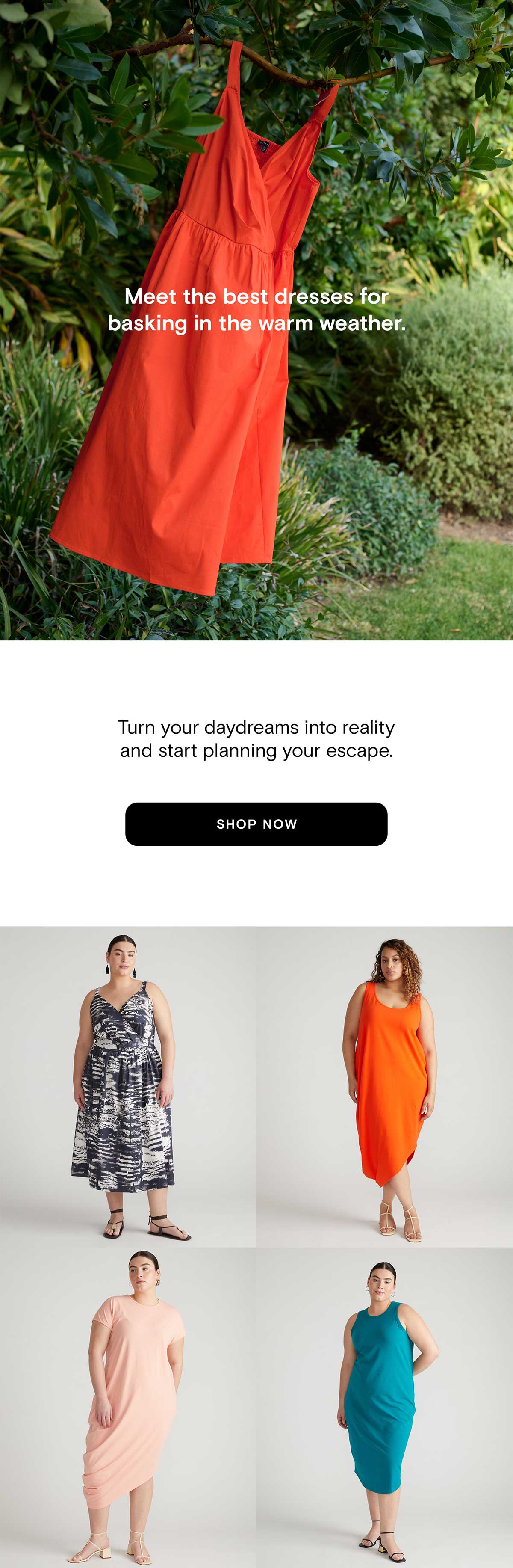 Escape Into Daydreams: Understanding Our Inner Lives - 9tfckph