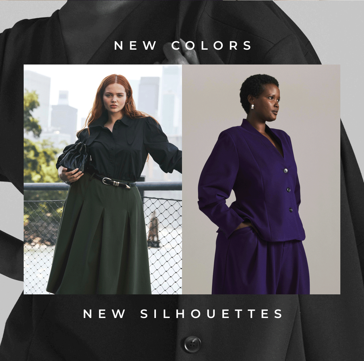 Transition to Fall