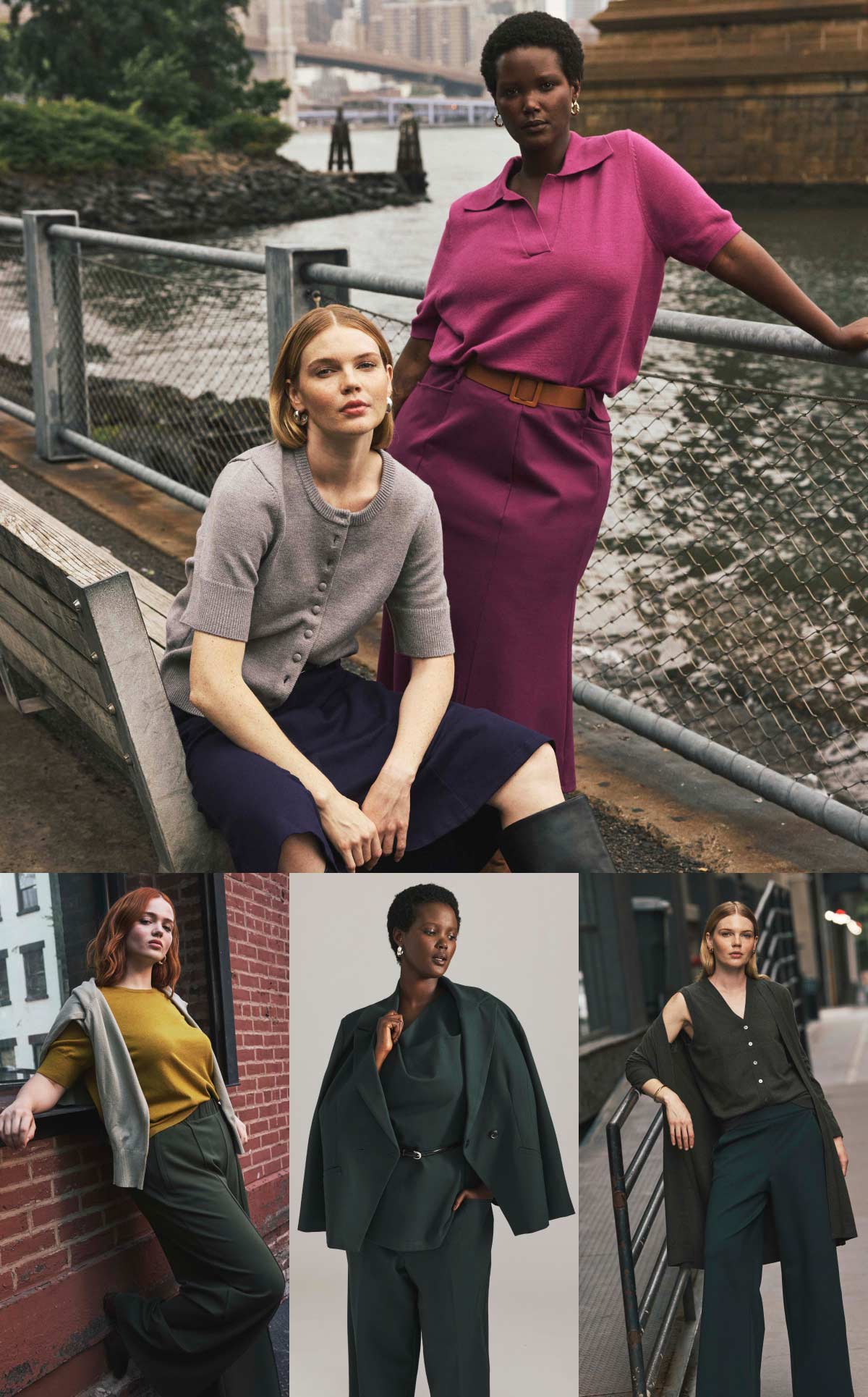 Transition to Fall