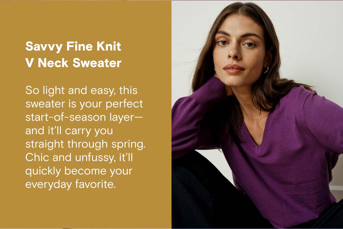 Savvy Fine Knit V Neck Sweater