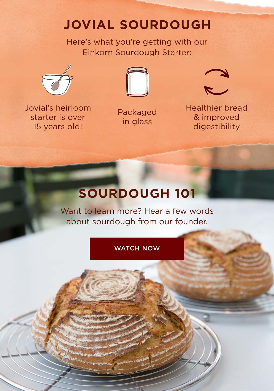 Einkorn Sourdough Starter is Back in Stock! Jovial Foods
