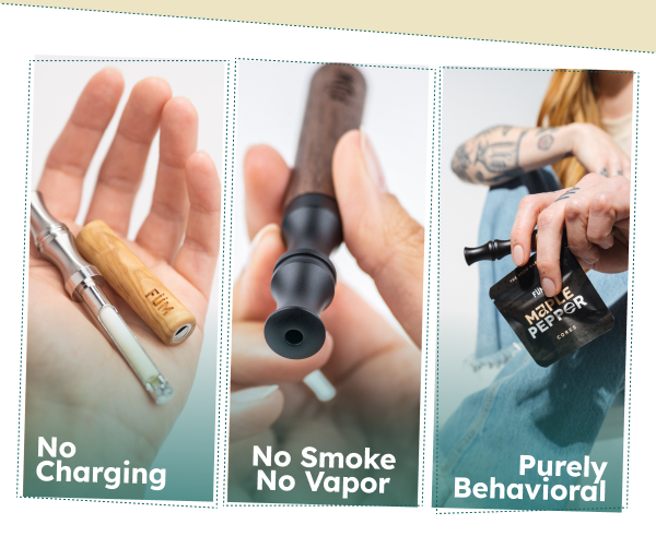 Alt"Features of FUM"