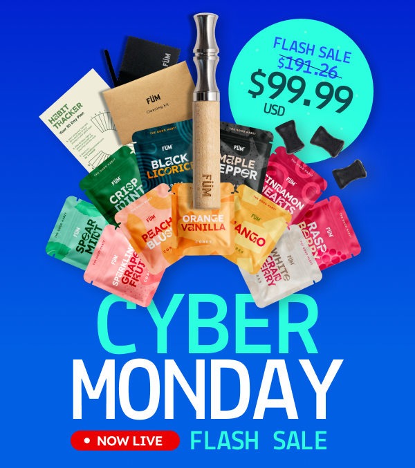 Alt"CYBER MONDAY Flash Sale"