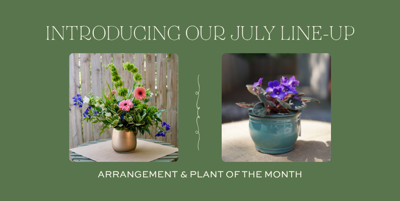 July Arrangement and Plant of the Month featuring a seasonal floral design and blooming African violet