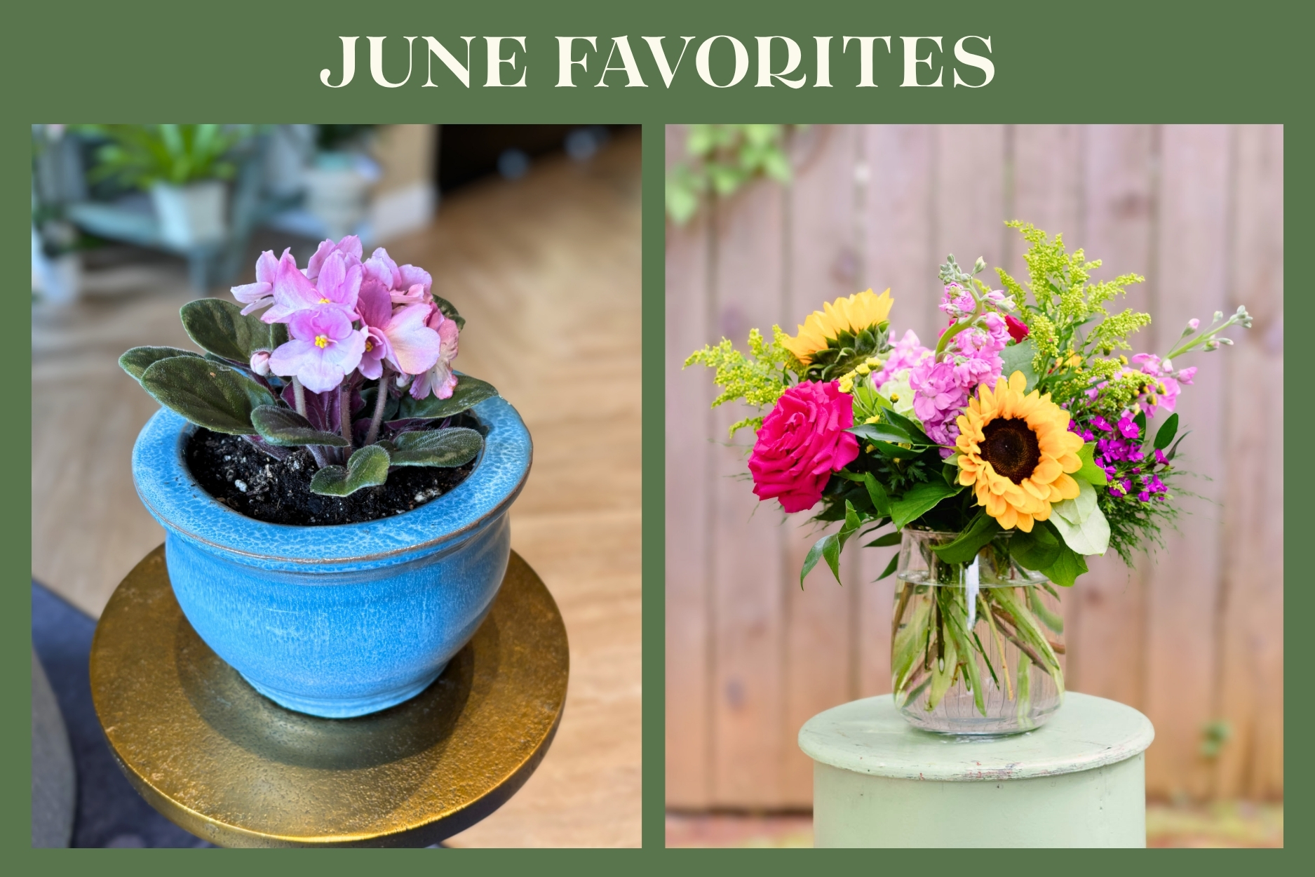 June Favorites and floral classes featuring a blooming African violet, a bright summer flower arrangement with sunflowers, and a hands-on floral design workshop