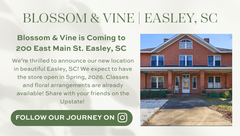 Historic brick building in downtown Easley, South Carolina, future home of Blossom & Vine's second location