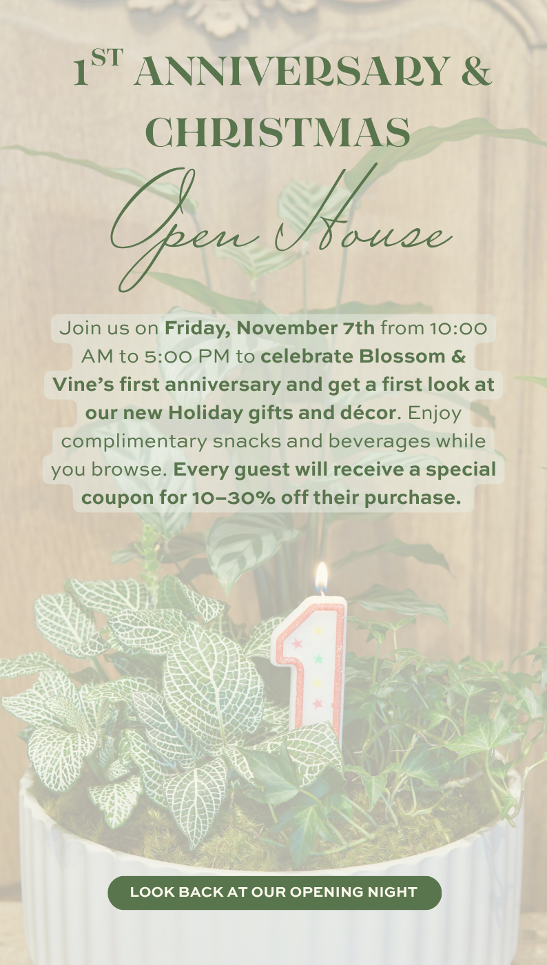 Christmas Open House announcement celebrating Blossom & Vine's first anniversary with holiday gifts, décor, refreshments, and special discounts
