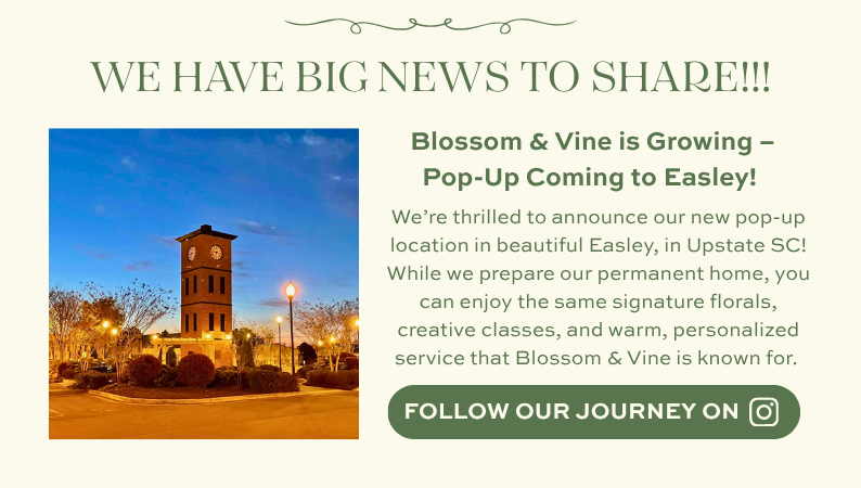 Blossom & Vine announces a new pop-up location in Easley, South Carolina, featuring florals, classes, and gifts