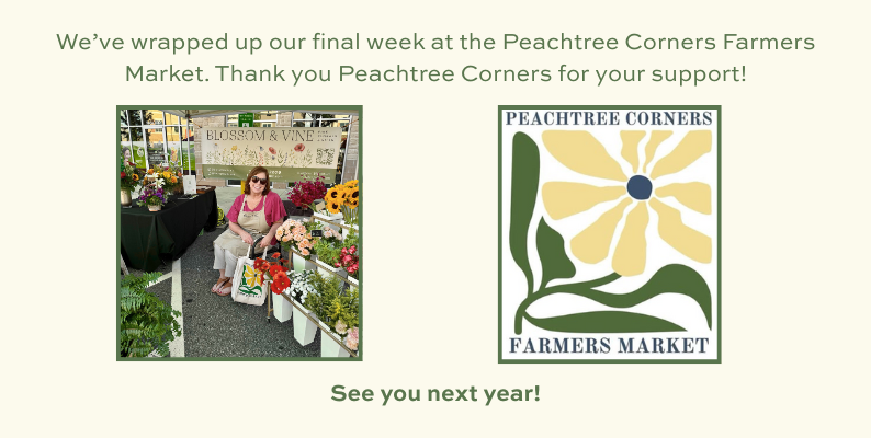 Blossom & Vine booth at the Peachtree Corners Farmers Market celebrating the end of the market season