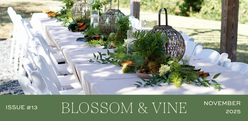 Blossom & Vine November 2025 newsletter cover featuring an elegant outdoor tablescape with greenery, lanterns, and seasonal décor