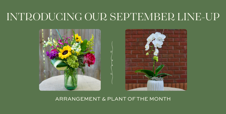 September Arrangement of the Month featuring sunflowers, colorful seasonal flowers, and lush greenery in a glass vase