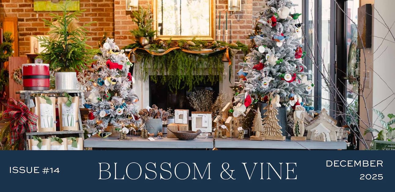 Blossom & Vine December 2025 newsletter cover featuring Christmas trees, holiday décor, seasonal gifts, and festive floral displays
