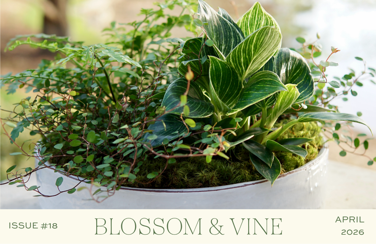 April 2026 Blossom & Vine newsletter cover featuring a lush spring planter with philodendrons, greenery, and decorative foliage