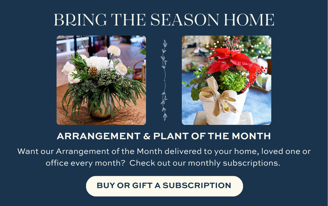 December Arrangement of the Month featuring winter greenery, pinecones, white flowers, and seasonal textures in a decorative container