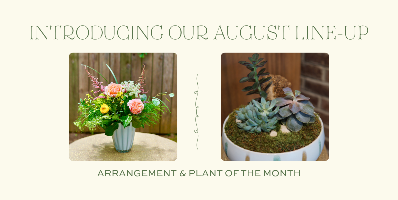 August Arrangement and Plant of the Month featuring a colorful garden-inspired floral arrangement and decorative succulent planter