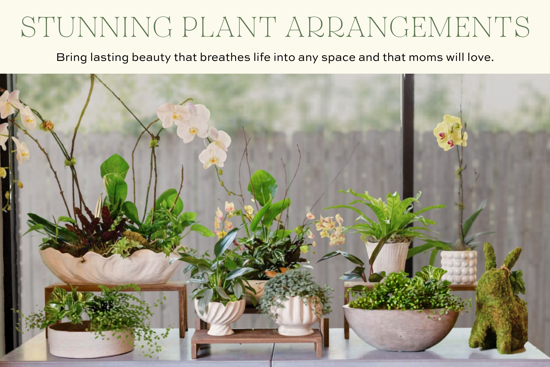 Collection of decorative plant gardens featuring orchids, tropical foliage, trailing greenery, and blooming plants arranged in elegant containers for Mother's Day gifting