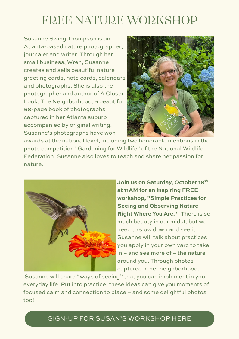 Nature photographer and author Susanne Swing Thompson promoting a free workshop on observing and appreciating nature Hummingbird feeding from a bright orange flower, featured as part of Blossom & Vine's free nature observation workshop
