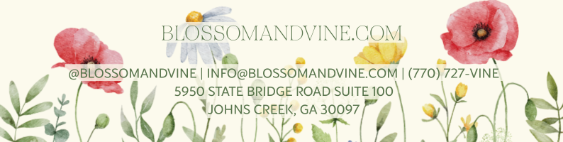 Blossom & Vine contact information surrounded by watercolor floral illustrations