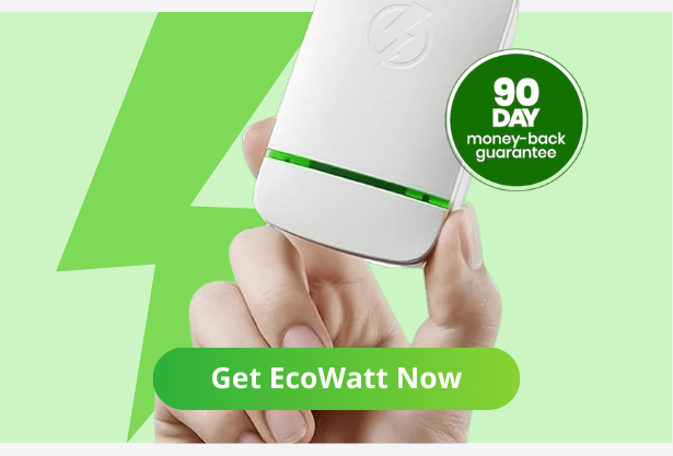 EcoWatt spring savings event
