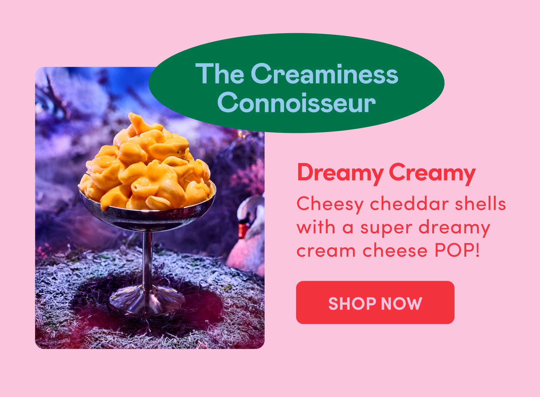 The Creaminess Connoisseur Cheesy cheddar shells with a super dreamy cream cheese POP!