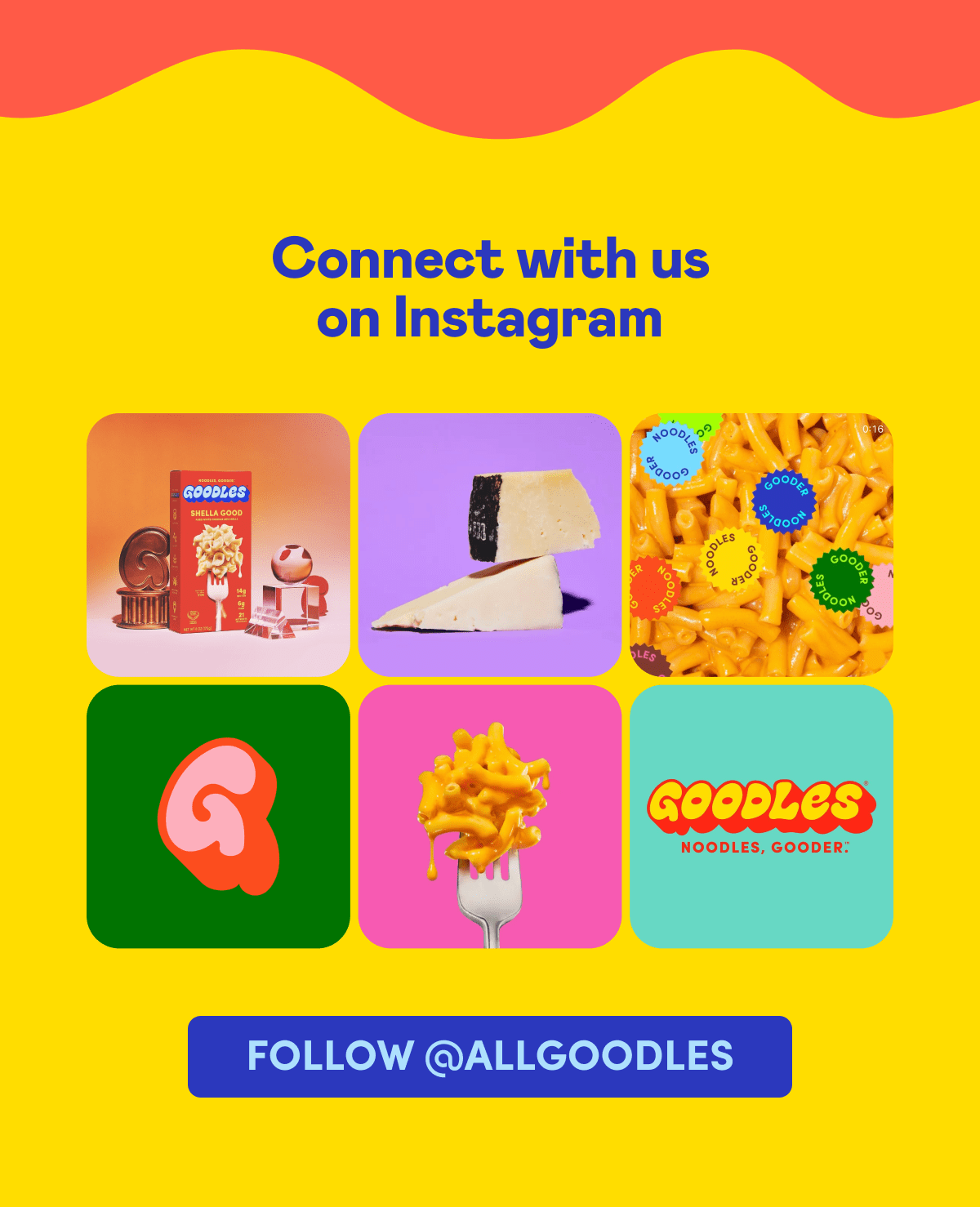 Connect with us on Instagram