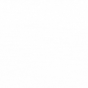 Enjoy 40% off on the Kyodai