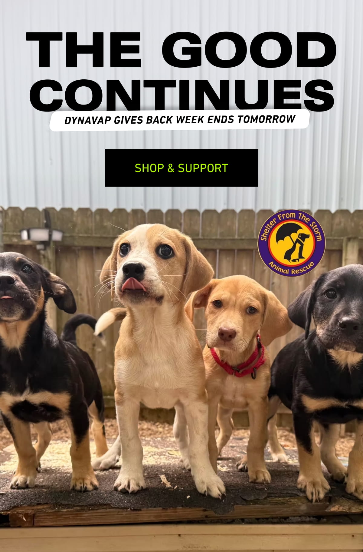 THE GOOD CONTINUES [Click here to Shop & Support]
