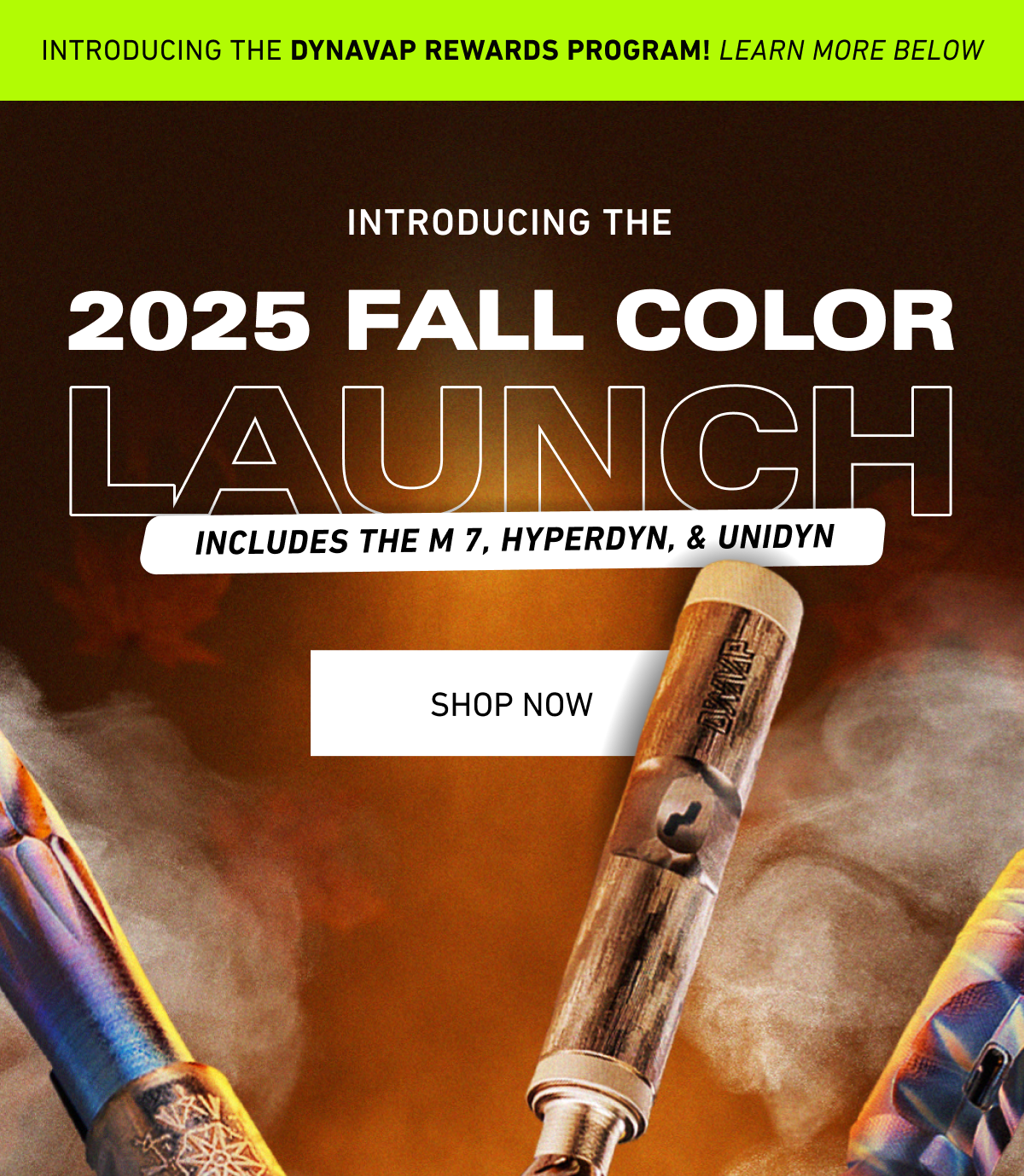 2025 Fall Color Launch