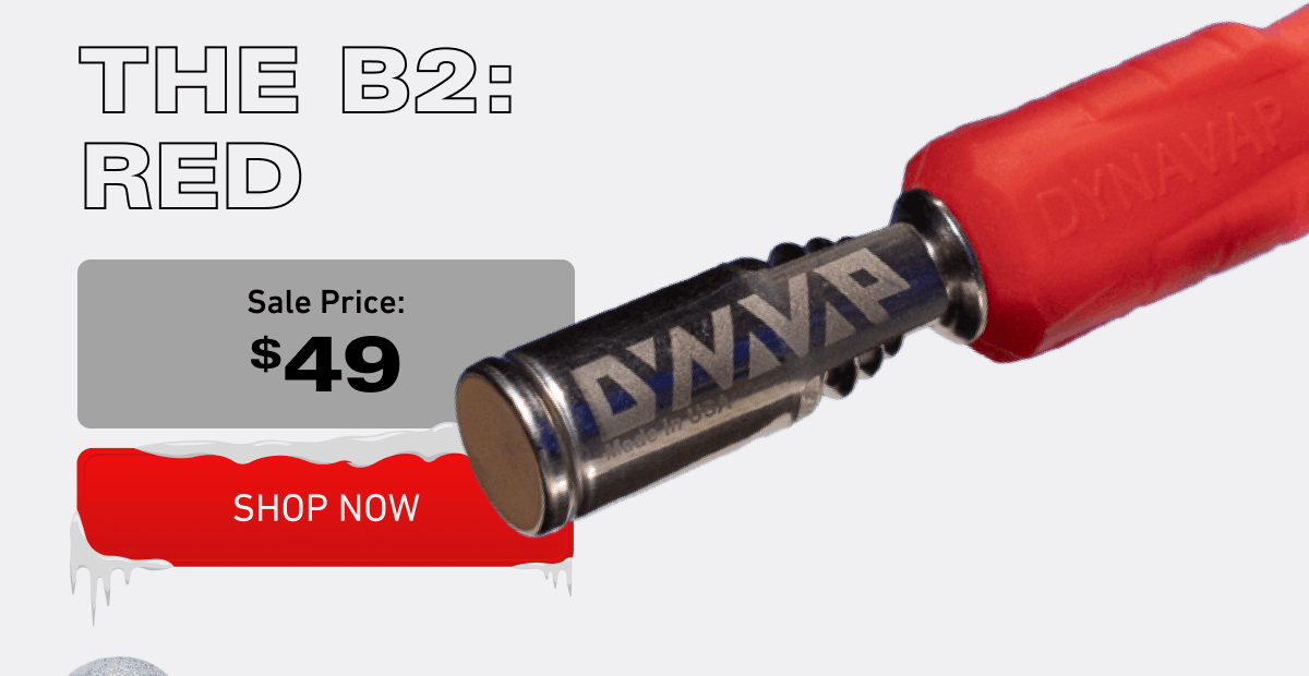 The B2 Red [Click here to Shop Now]