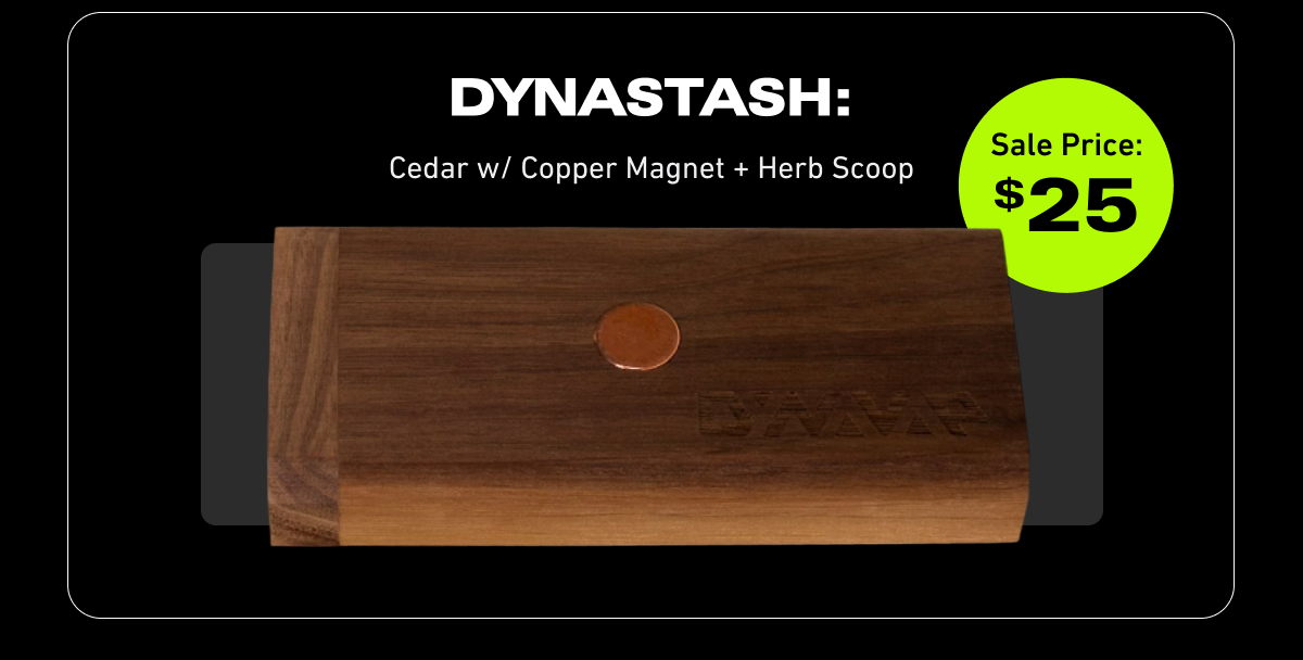 DynaStash