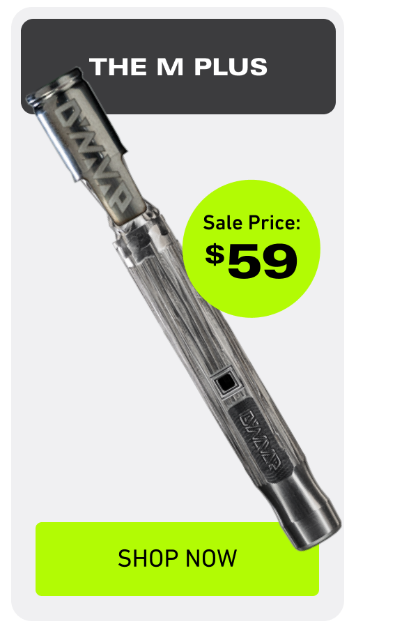 M Plus