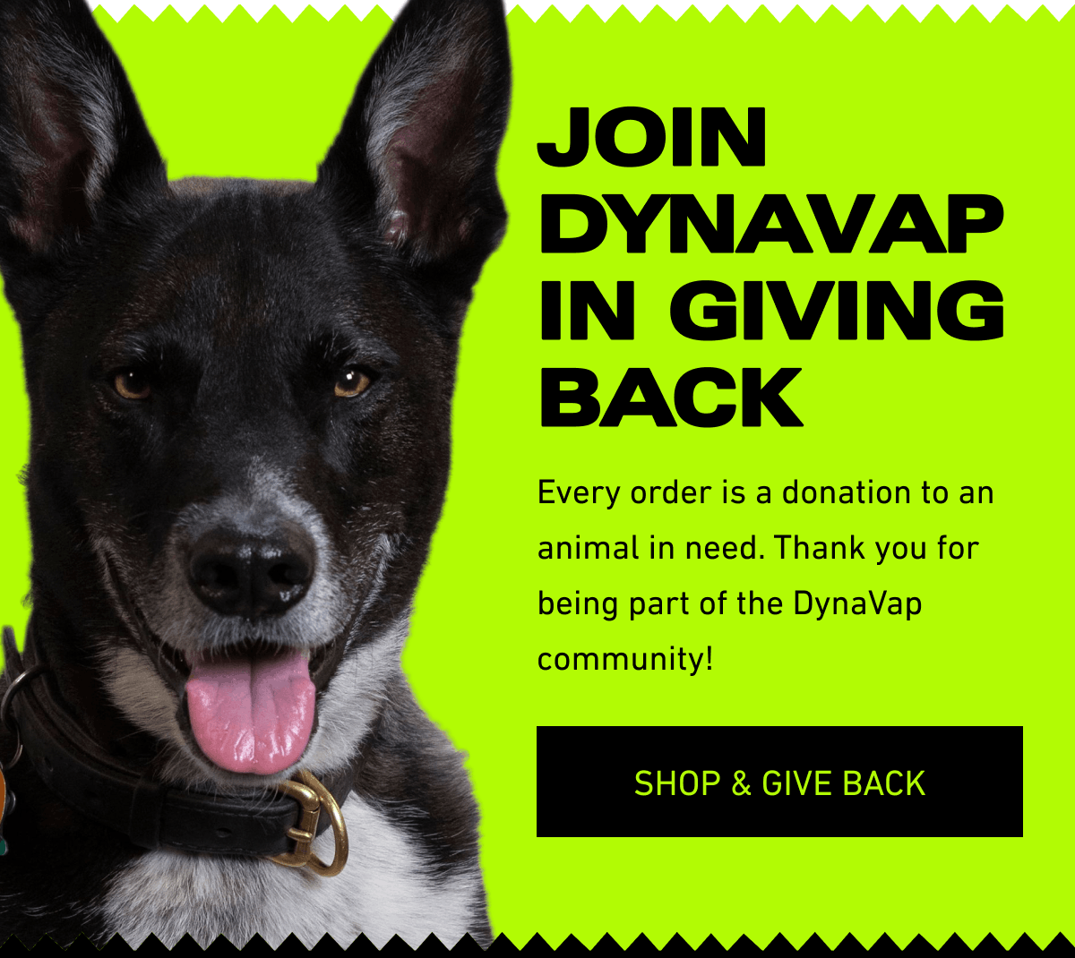 Join Dynavap in giving back [Click here to Shop & Give Back]