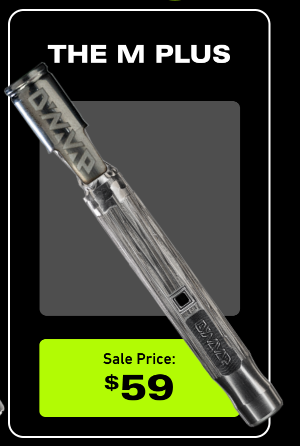 M Plus