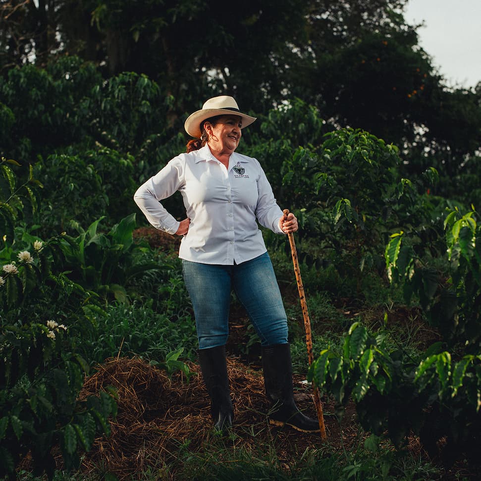 Single Origin Coffees