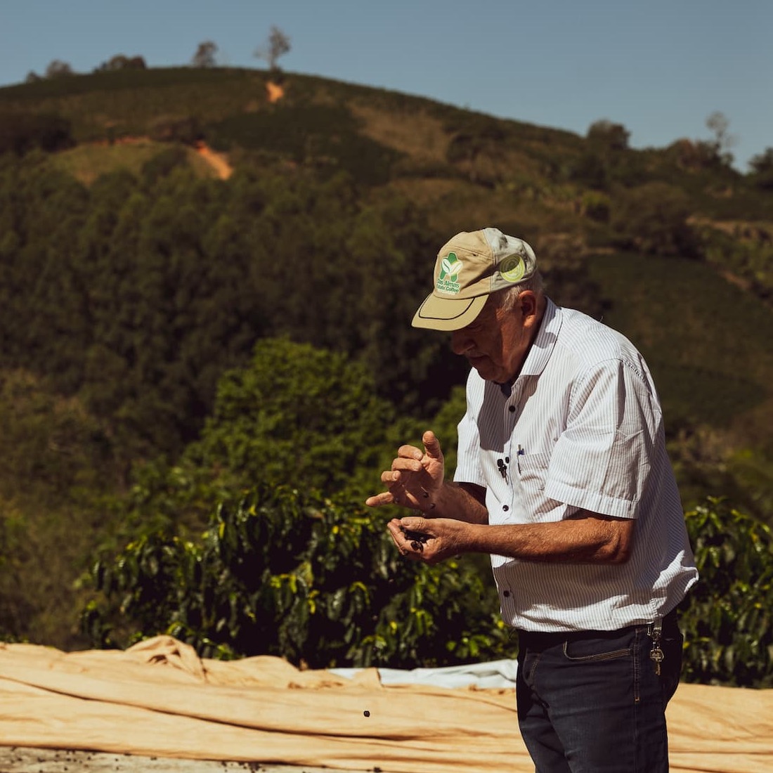 Single Origin Coffees