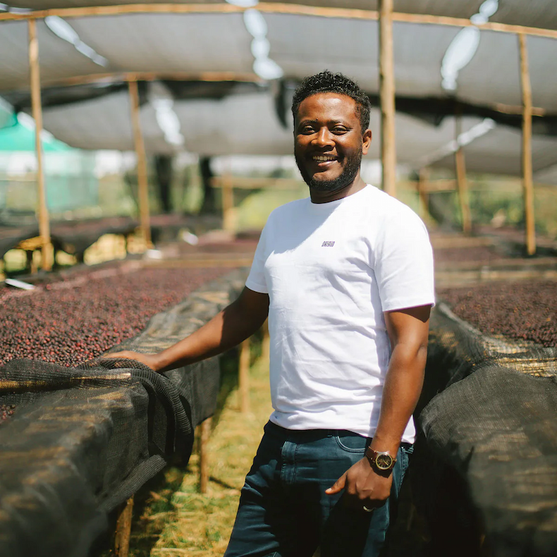 Single Origin Coffees