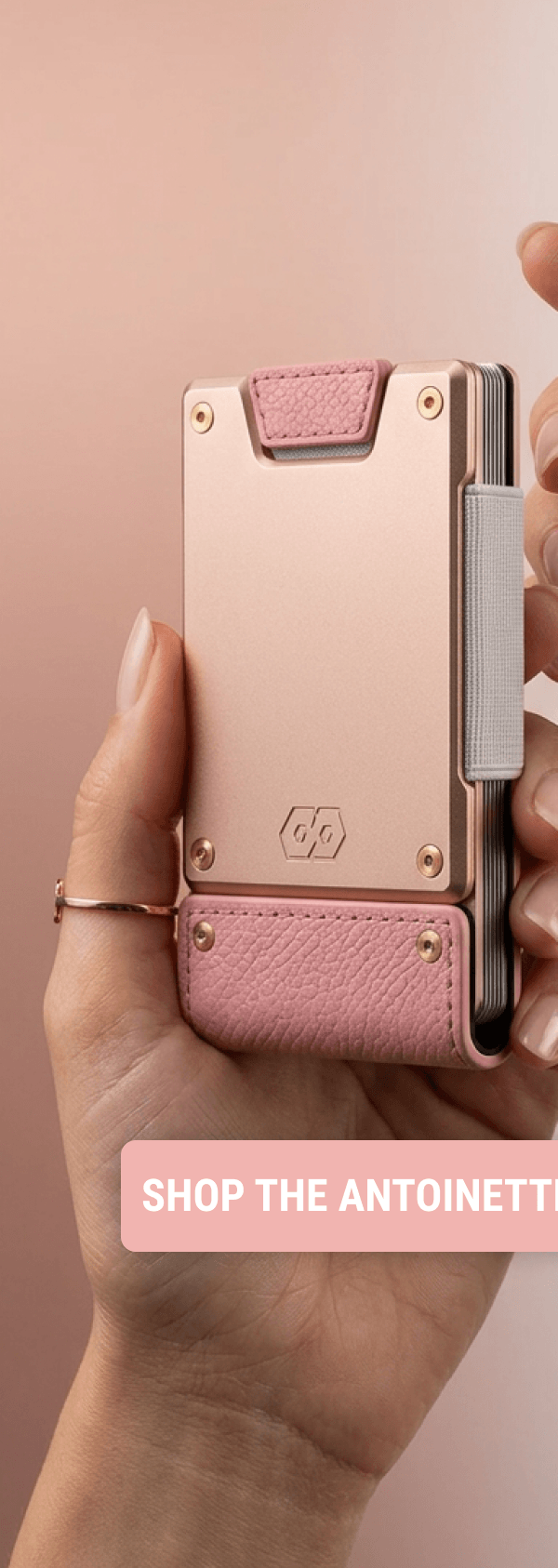 SHOP THE ANTOINETTE