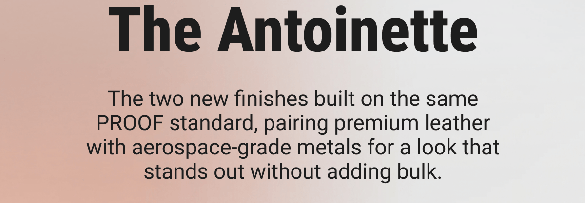 The Antoinette