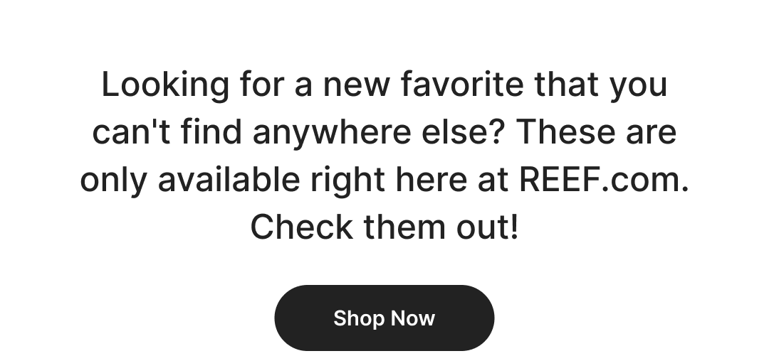 Looking for a new favorite that you can't find anywhere else? You're in the right place and we've got some top men's styles that only exist here. Shop Now!